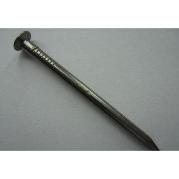 Competitive Common Iron Nail for Construction